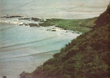 A good stretch of shoreline for clam digging and shellfishing.